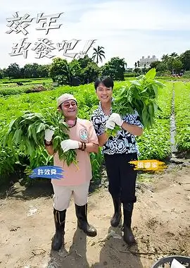 慢综艺收视趋势资讯